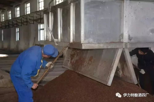 镌刻在百天里的品质丰碑——伊力特酿酒四厂“大干百天”工作纪实